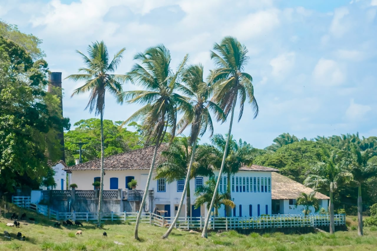 Partindo de Aracaju, com destino ao litoral Sul do Estado, com saída do Porto do Cavalo a bordo da Escuna Gazela, a primeira parada é na Ilha da Sogra, localizada no município de Estância (Foto: Bárbara Amanda/ Setur/SE)