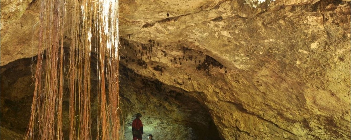 Sergipe não tem cavernas de grandes dimensões (Foto: Via Destaque Comunicação)