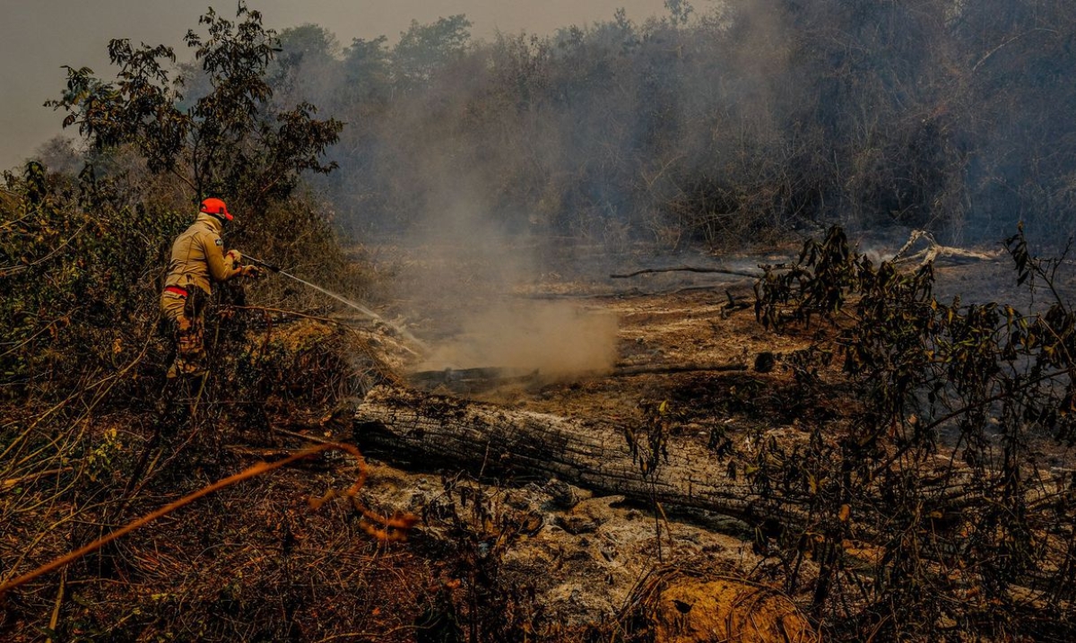 PF e órgãos estaduais apuram causas de incêndios no Pantanal (Foto: Mayke Toscano/ Secom-MT)