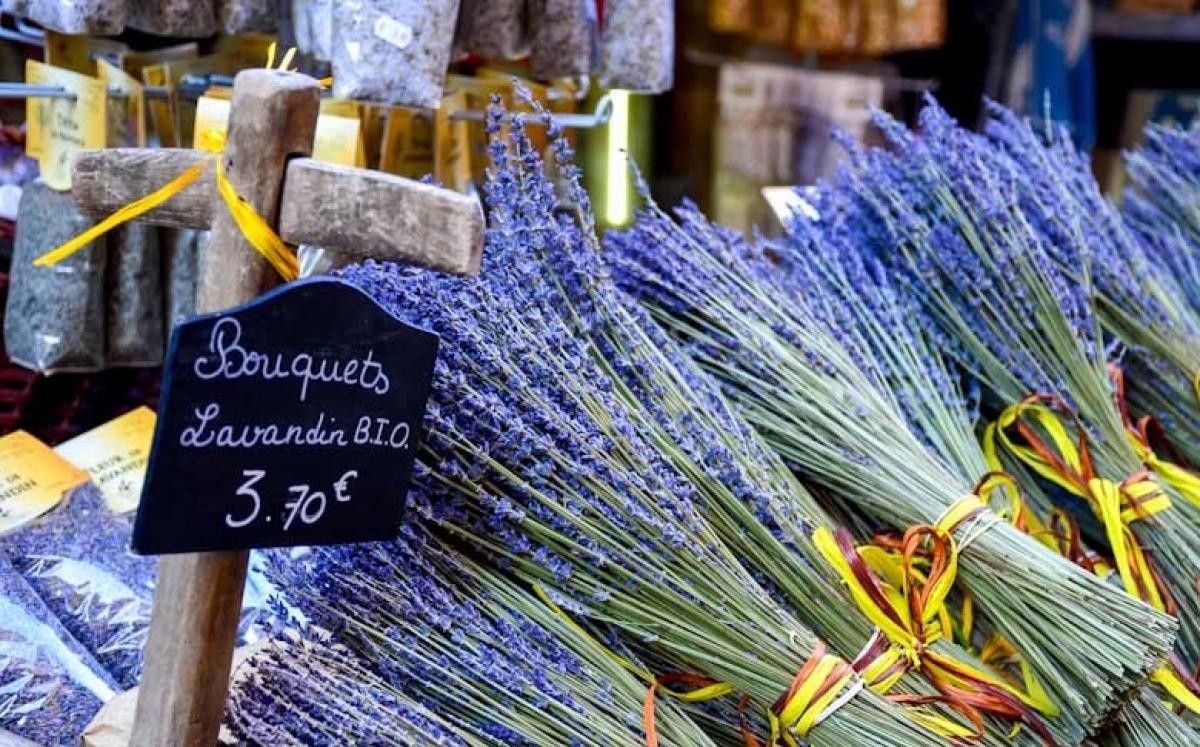 A Provence é famosa pelos campos de lavanda, mas só é possível visitá-los durante 6 semanas por ano, durante o verão - Foto: Carla Passos