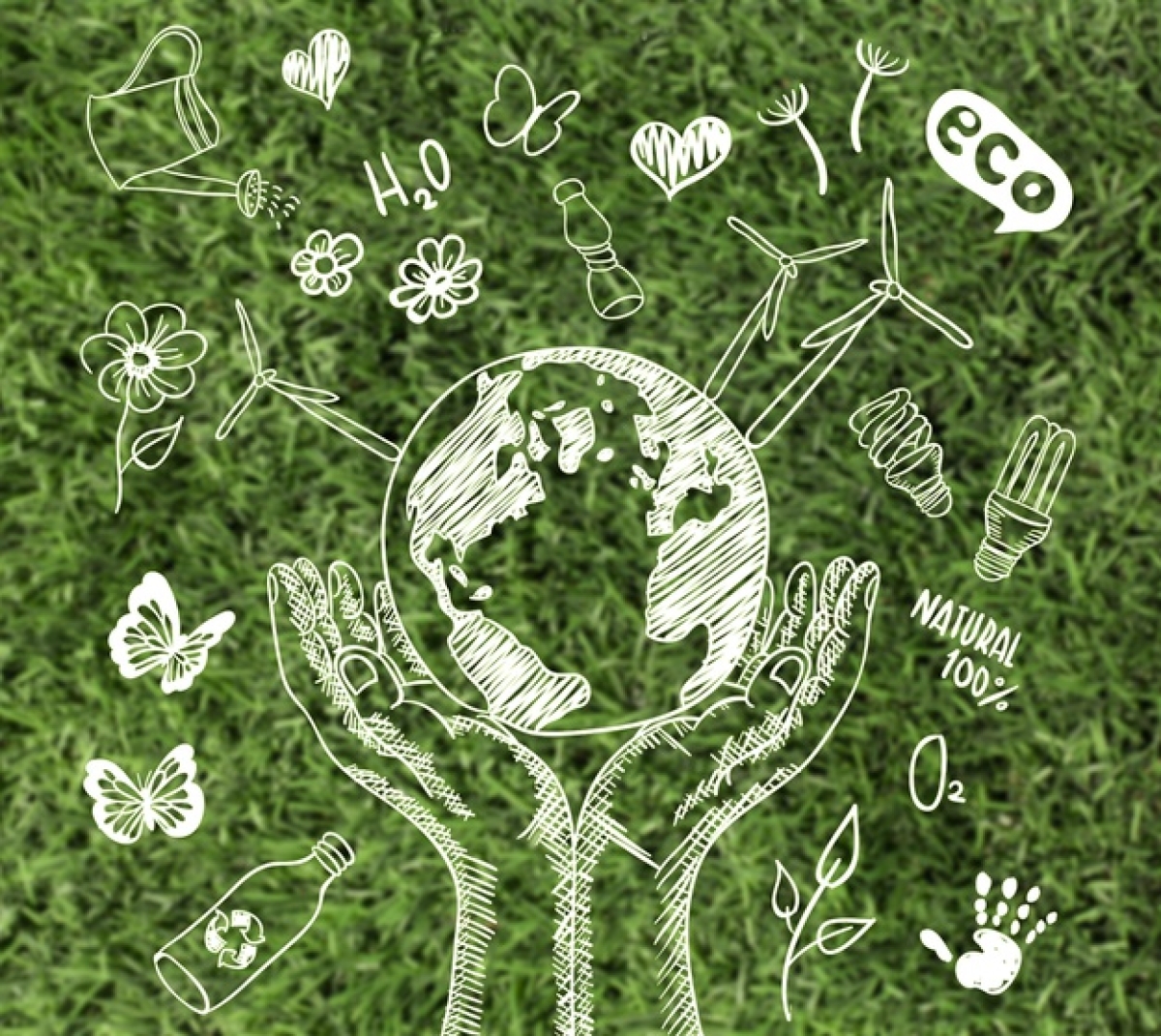 Educação e projetos sustentáveis são alternativas para mudanças ambientais (Foto ilustrativa: Freepik)