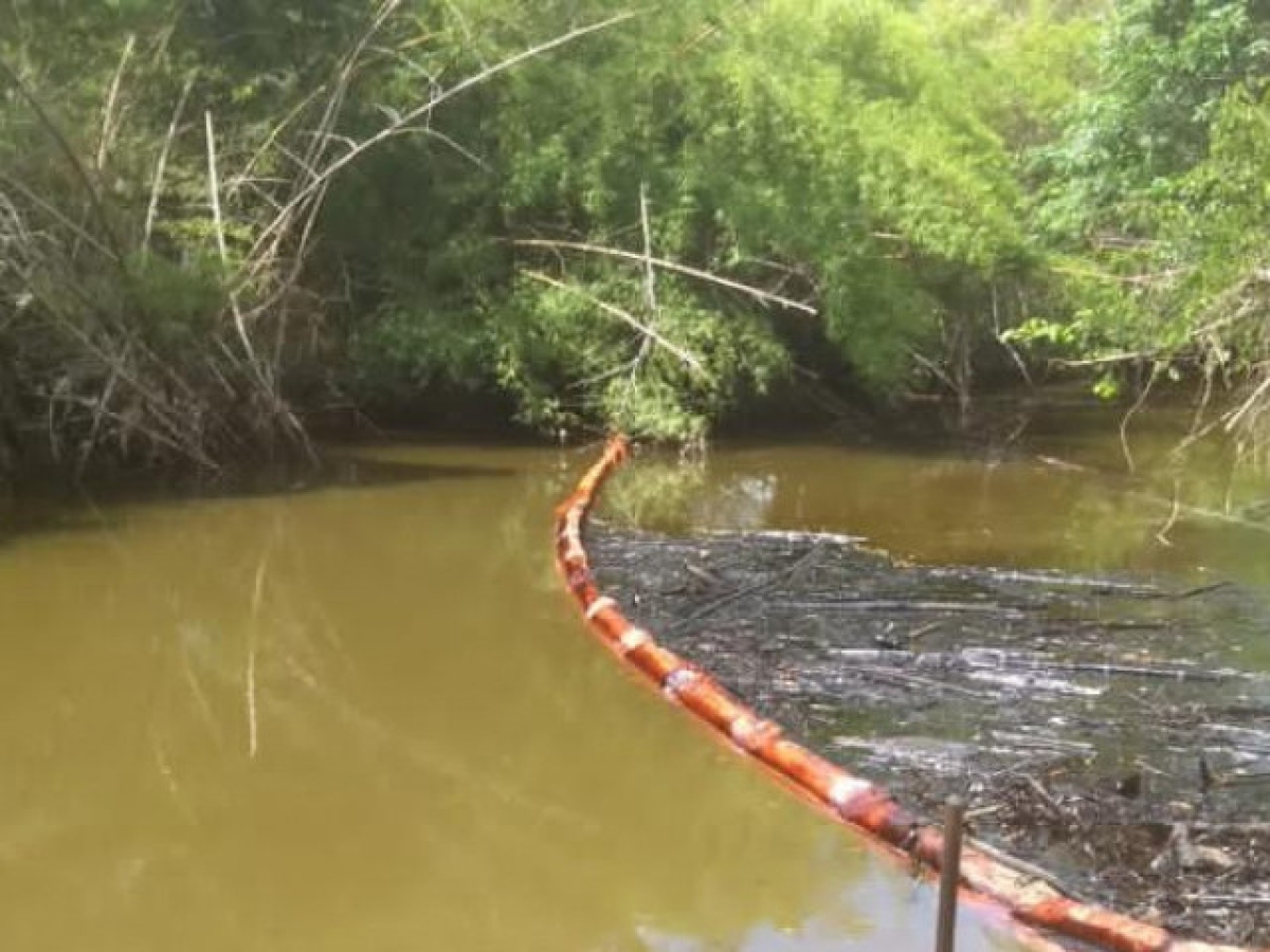 Petrobras derrama óleo no Rio Sergipe (Foto: Assessoria Adema)