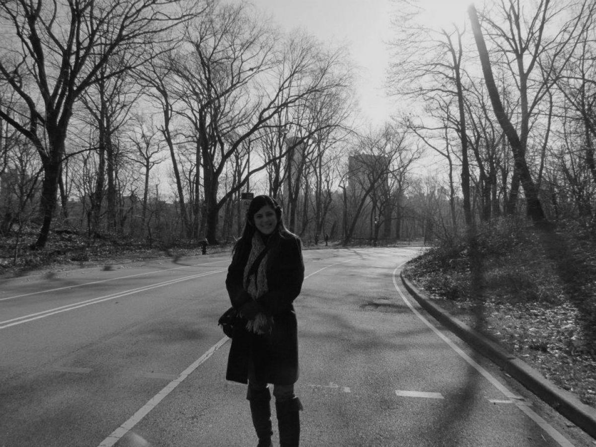 Uma caminhada no Central Park nos revela belíssimas paisagens (Foto: Carla Passos)