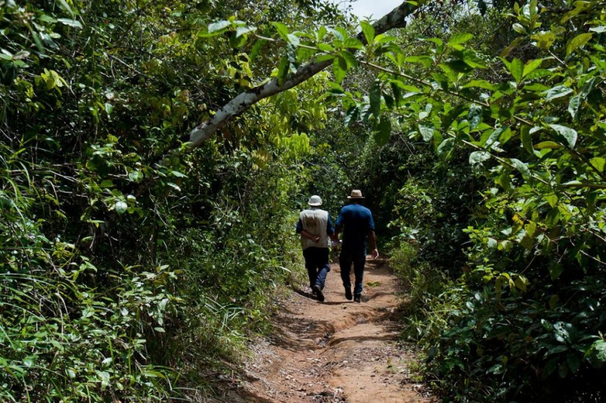 A Mata vai receber 3 mil mudas de espécies nativas (Foto: Ascom Sedurbs/SE)