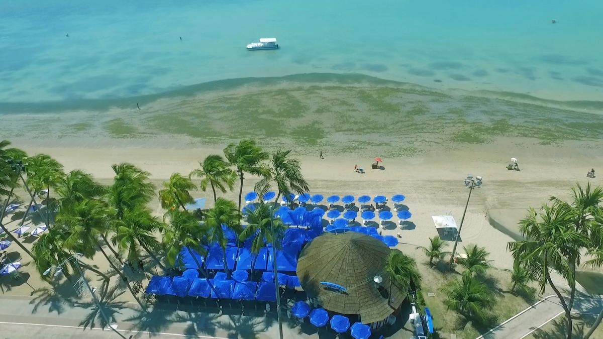 Também tem ótimos bares de praia dentro em Maceió (Foto: Carla Passos)