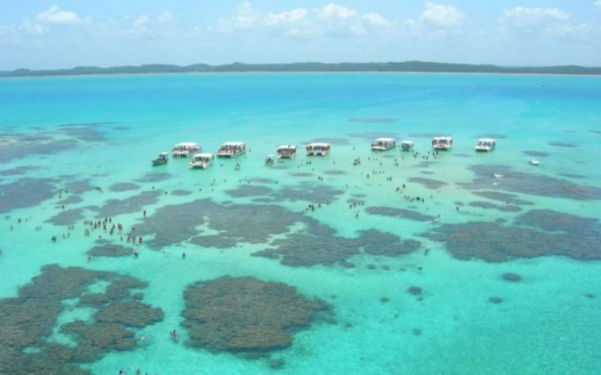 �? possível visitar as piscinas naturais de jangada em Milagres, Maragogi, Maceió, Praia do Francês, entre outras praias (Foto: Carla Passos)