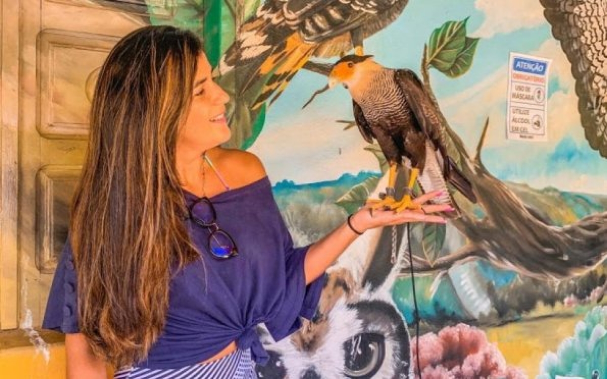 O Parque dos Falcões é o único da América Latina (Foto: Arquivo Pessoal/ Carla Passos)