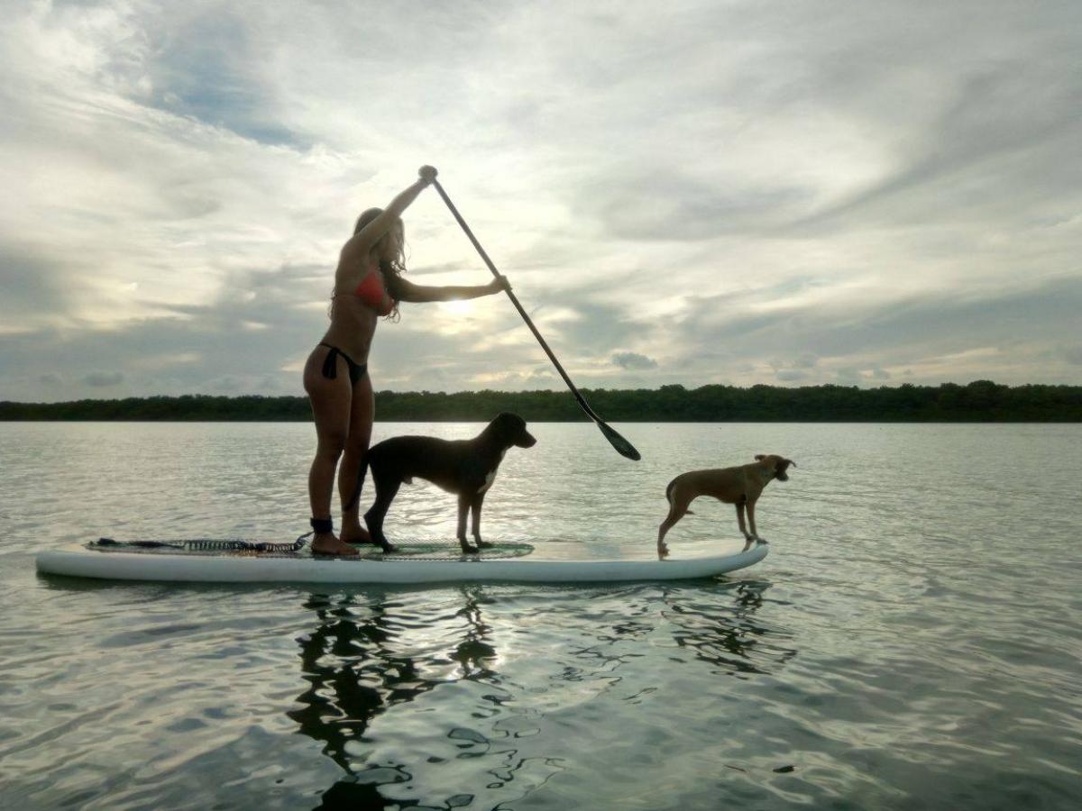 O Supamigos é pet friendly (Foto: Carla Passos)