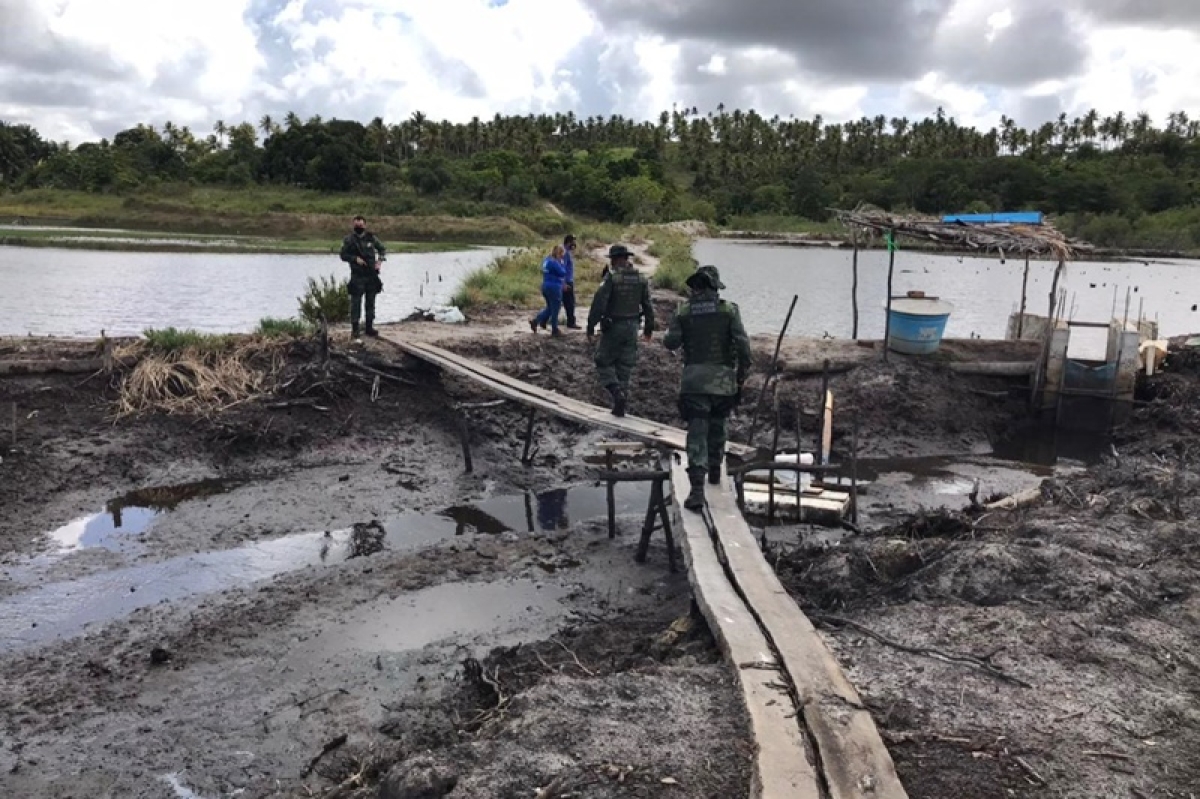 Policiais e fiscais da Adema flagraram ações contra o meio ambiente (Foto: Destaque Notícias)