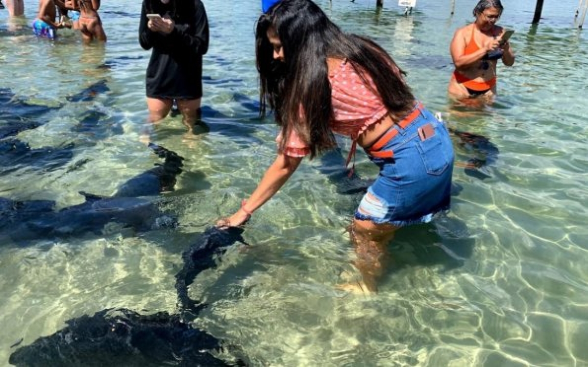 Lagoa dos Tambaquis, um ótimo bate e volta de Aracaju (Foto: Carla Passos)