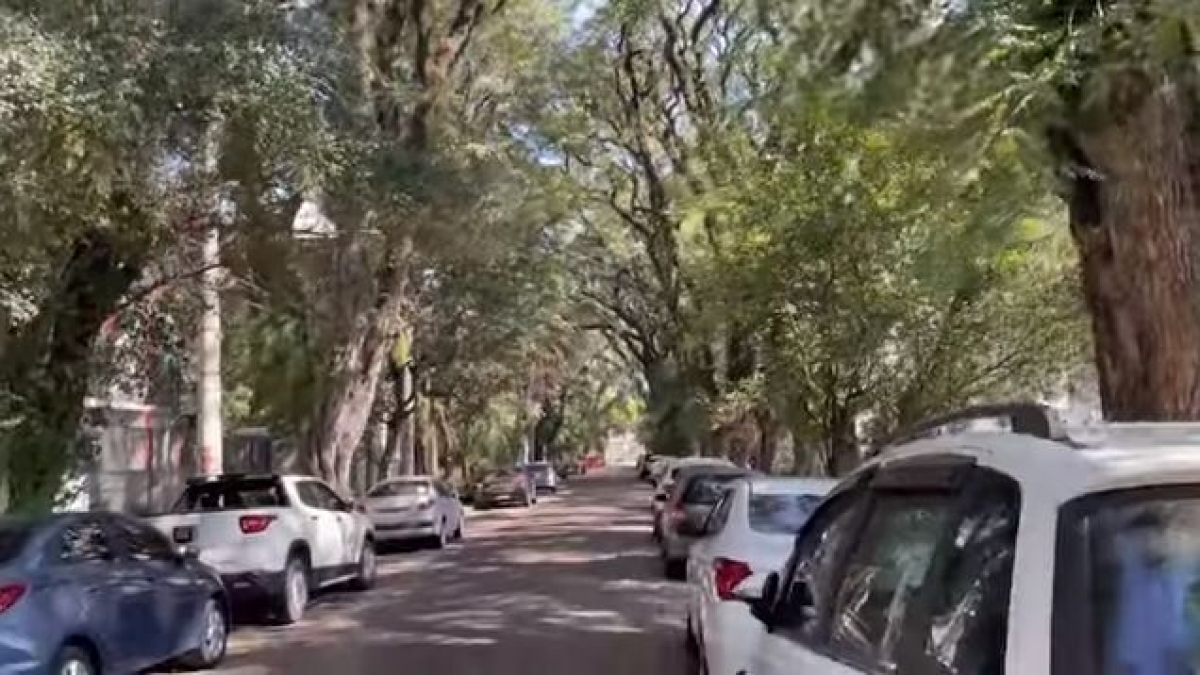 Você sabia que a rua mais bonita do mundo fica em Porto Alegre? (Imagem: Reprodução de vídeo/ YouTube/ Passos Pelo Mundo)