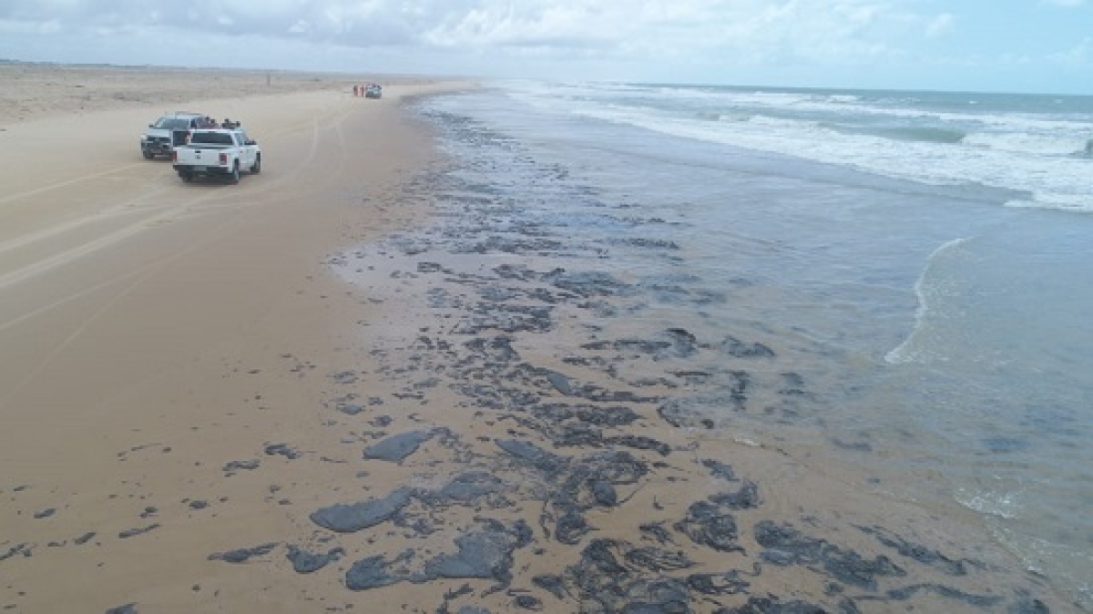 �?leo que atingiu praias do Nordeste veio de petroleiro grego, diz PF (Foto: Adema)