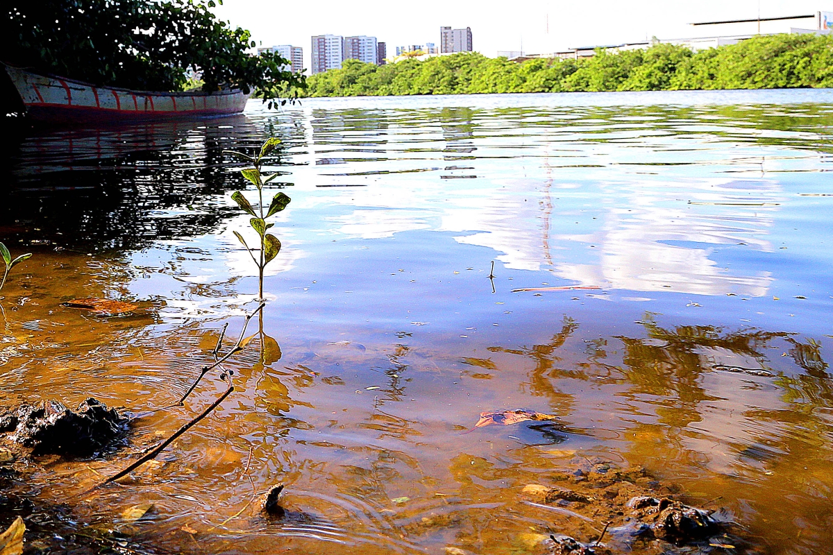 Elaboração do Plano de Manejo do Parque Rio Poxim entra em nova etapa (Foto: Prefeitura de Aracaju)