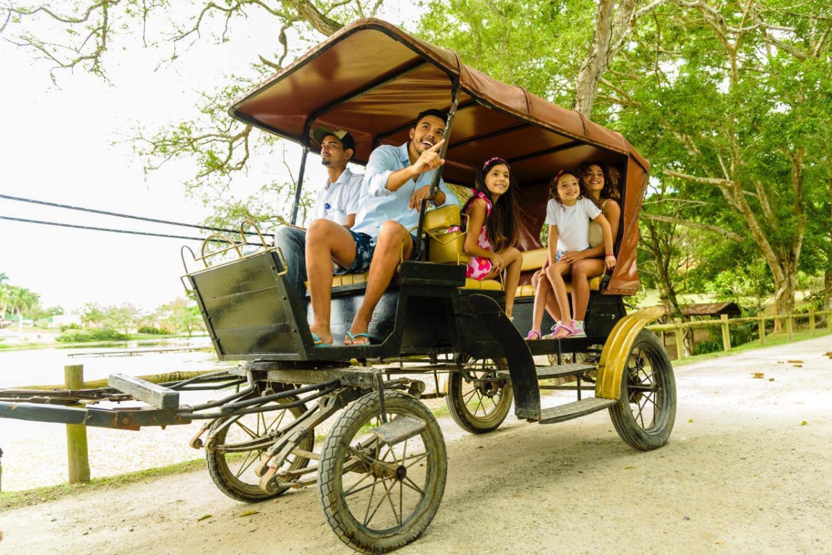 BoaLuz lança ação de Black Friday 2023 com dois tipos de ofertas; confira - Foto: Assessoria BoaLuz Park