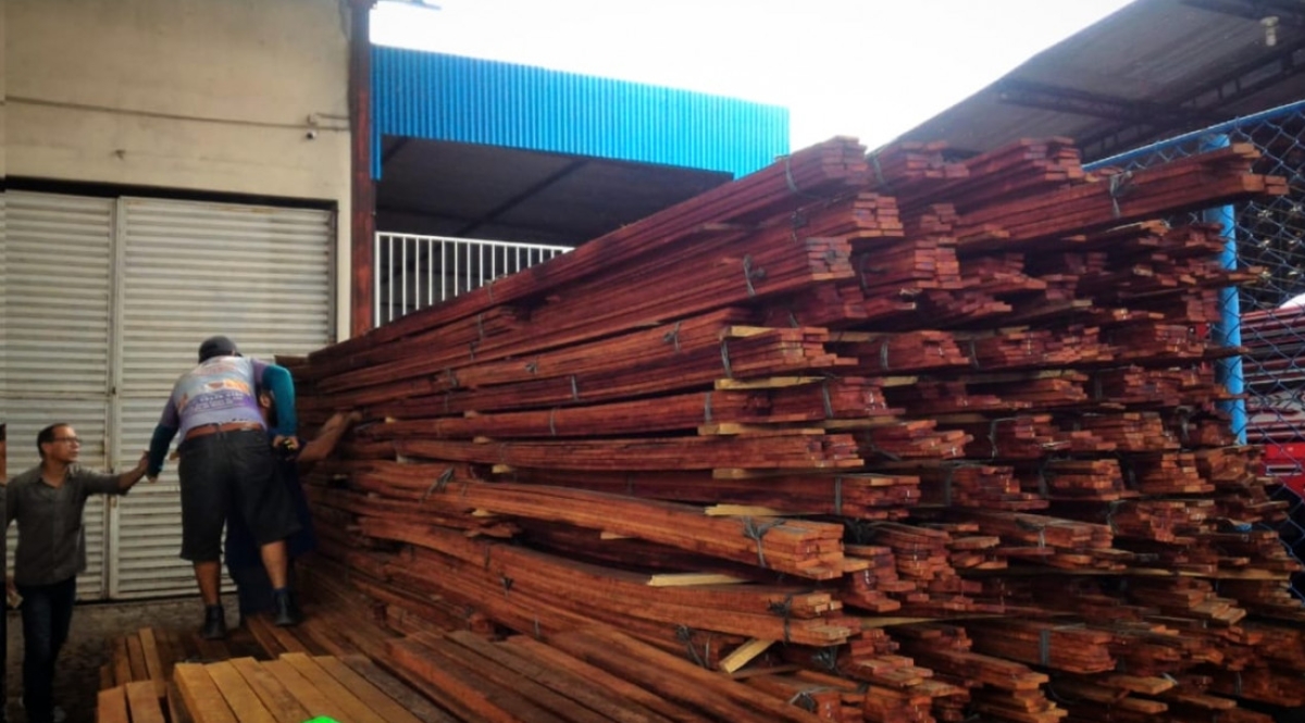 Adema alerta para bloqueio dos sistemas emissores do Documento de Origem Florestal após 180 dias de inatividade - Foto: Ascom Adema
