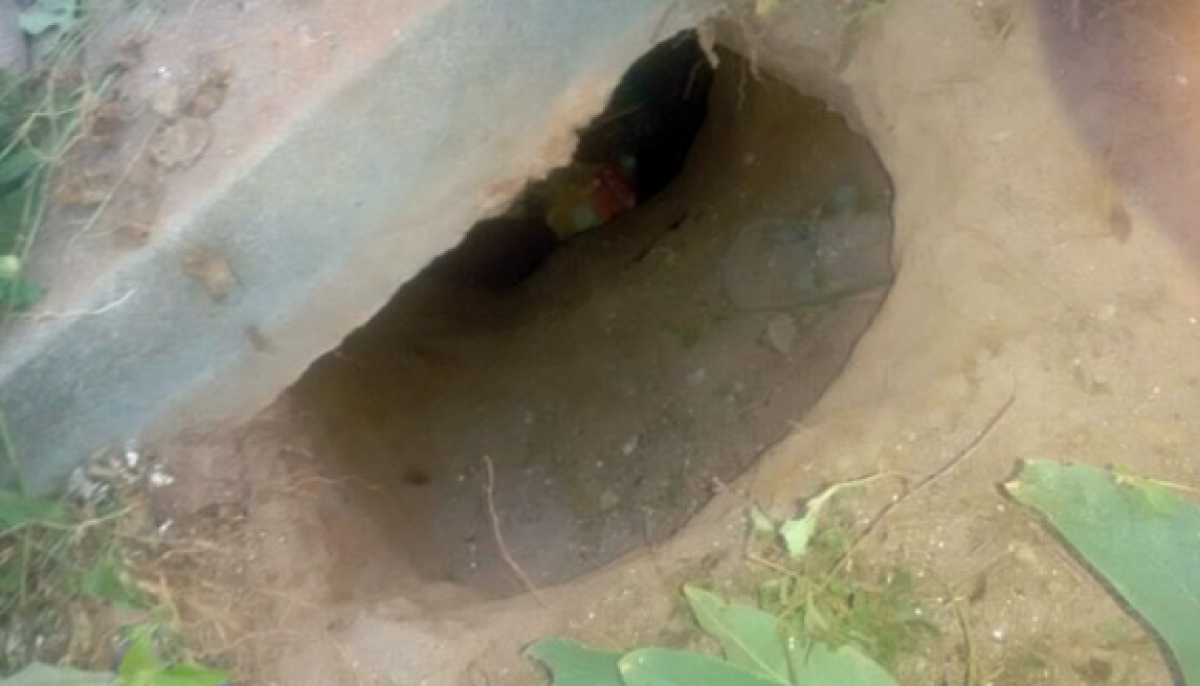 32 detentos fogem do Pres�dio de Gl�ria (Imagem: Reprodu��o | Via Portal Mais Sert�o)