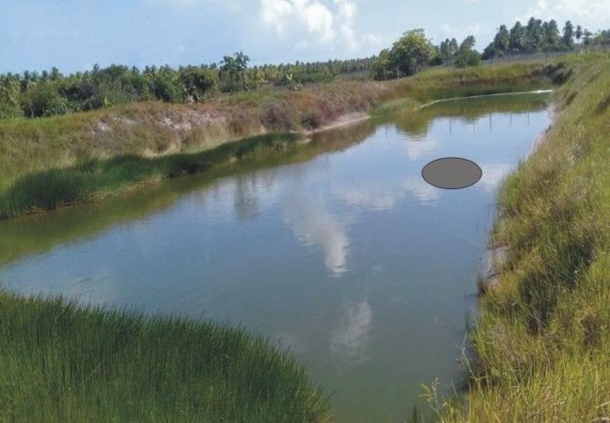 Homem � encontrado morto na regi�o litor�nea de Est�ncia (Imagem: Di�rio Sergipano)