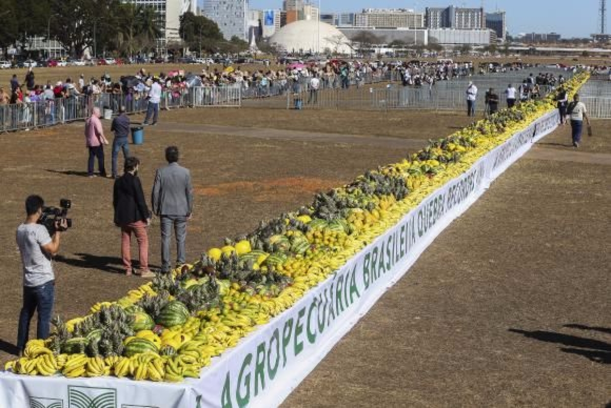 Com maior mostru�rio de frutas do mundo, Brasil quebra recorde e entra para o Guinness Book. As frutas foram trazidas por agricultores de diversos estados no Dia do Agricultor (Foto: Elza Fi�za/Ag�ncia Brasil)
