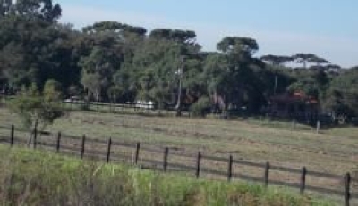 Hotsite traz sugest�es de boas pr�ticas para desenvolvimento sustent�vel no campo (Foto: Arquivo Ag�ncia Brasil)