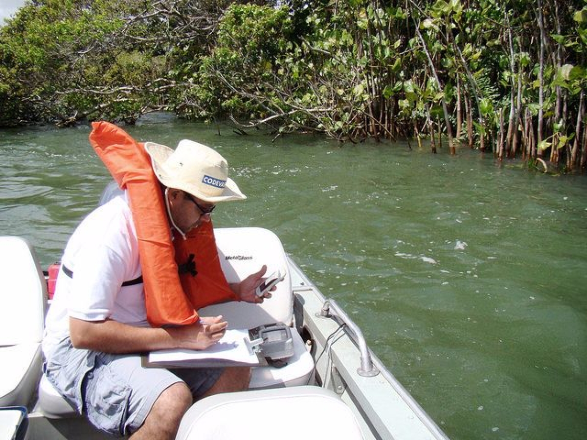 Codevasf monitora ictiofauna e qualidade da �gua do rio S�o Francisco em Sergipe (Imagem: Codevasf)